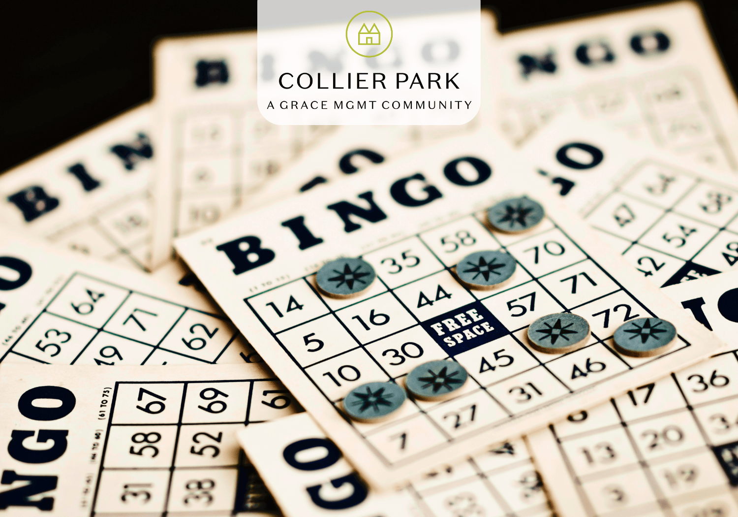 Collier Park - Bingo - Collier Park Bingo Cards