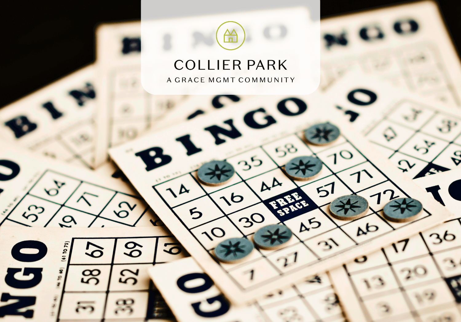 Collier Park - Bingo - Collier Park