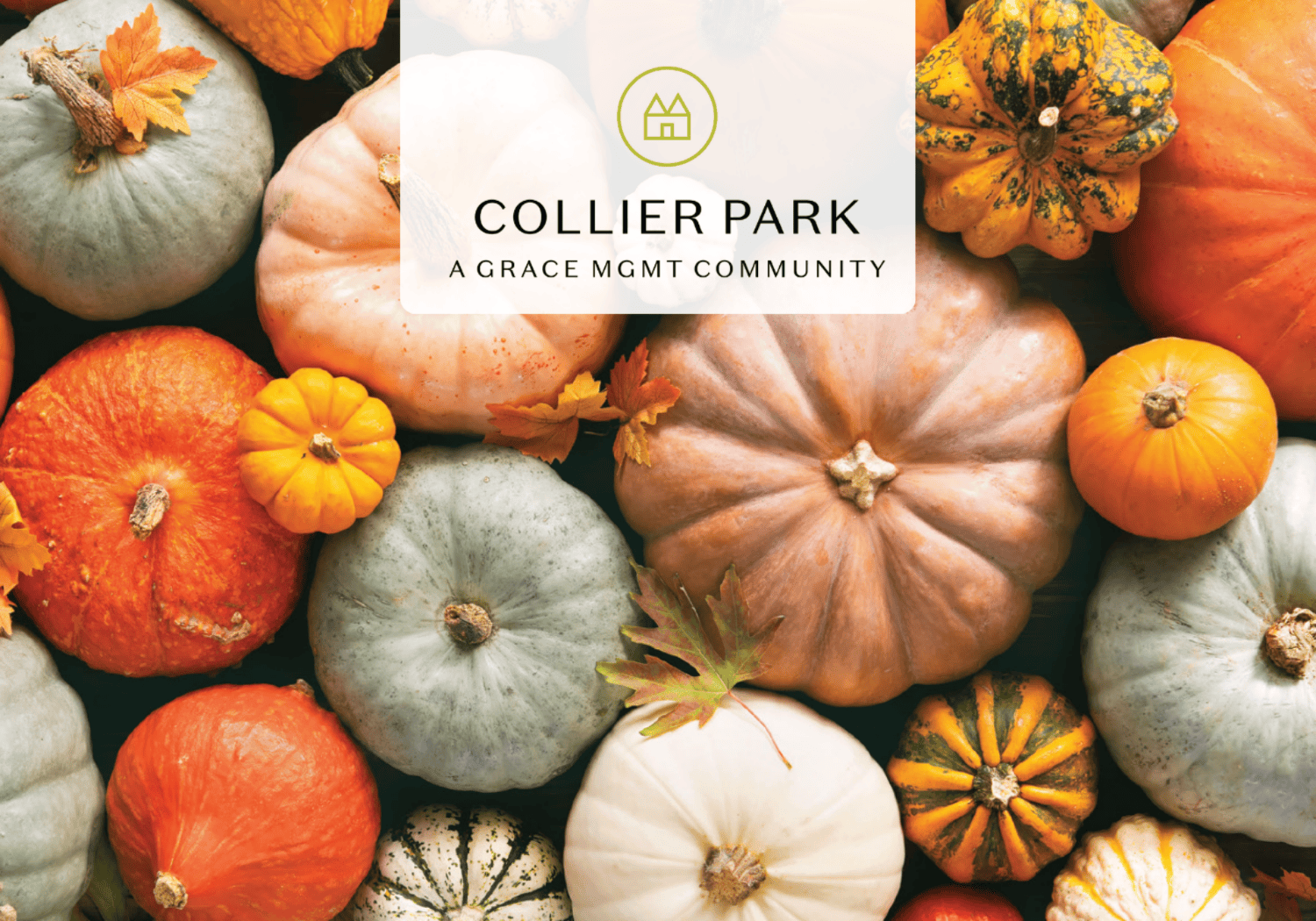 Collier Park - Oktoberfest - Collier Park