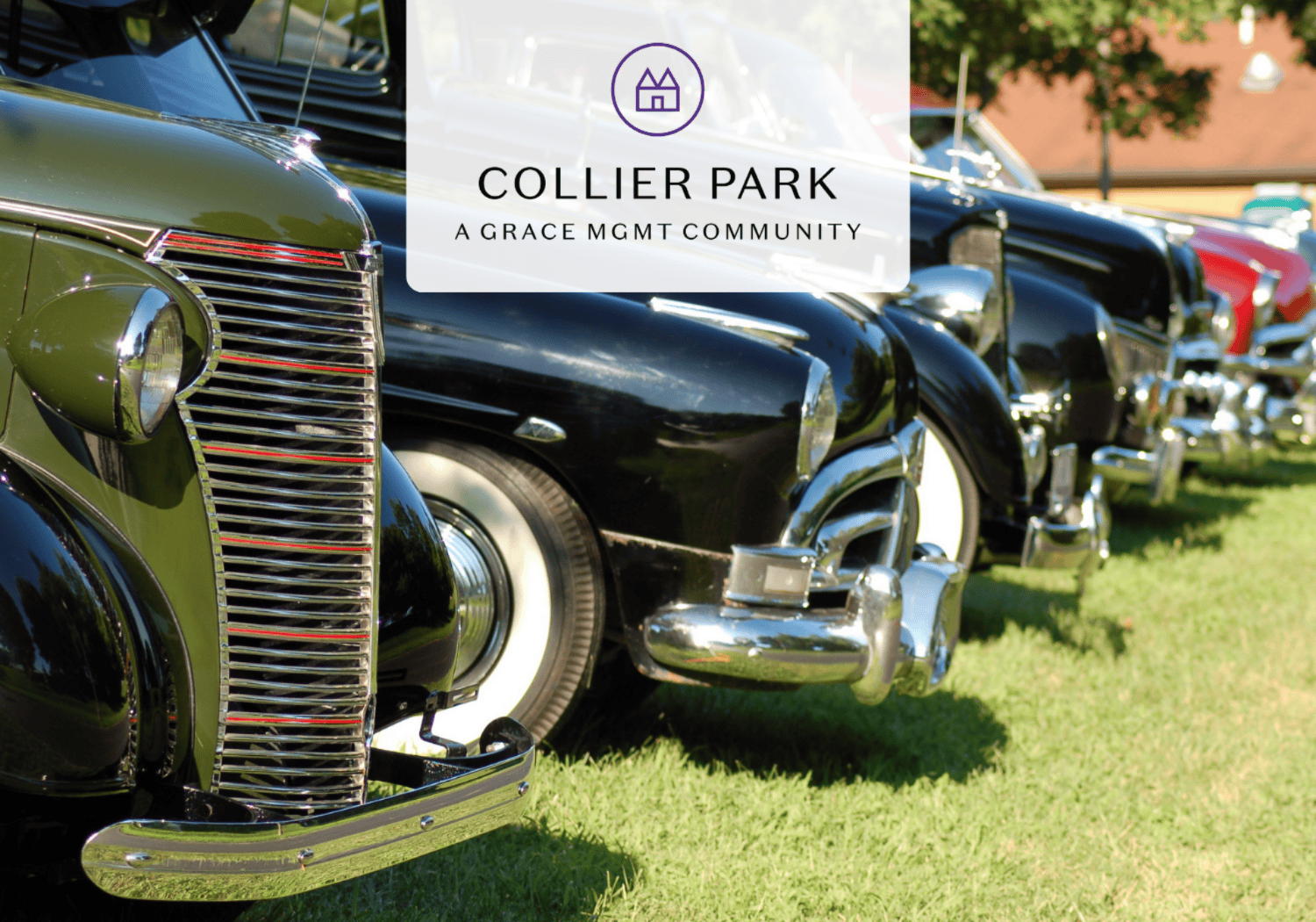 Row of vintage cars lined up on a grassy park lawn at a car show, with branding for Collier Park overlaid on the image.